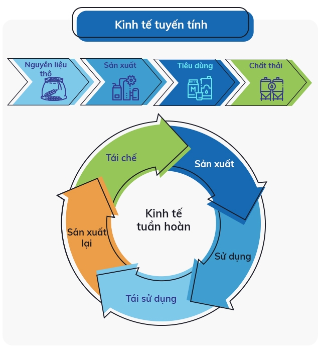 Sự khác nhau giữa mô hình Kinh tế tuyến tính và Kinh tế tuần hoàn.