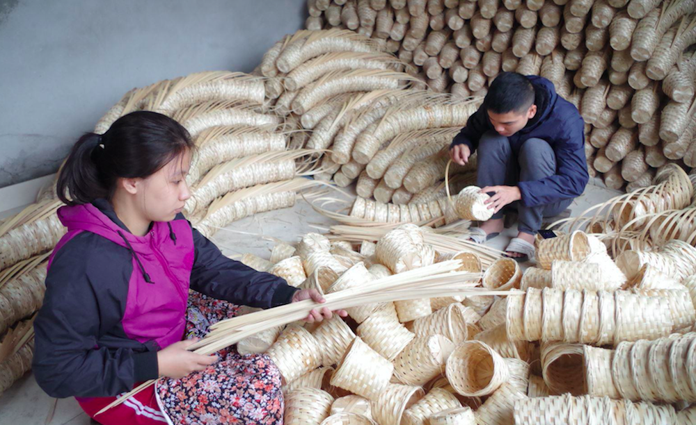 Việt Nam xuất khẩu sản phẩm từ tre đạt kim ngạch khoảng 300 - 400 triệu USD mỗi năm.