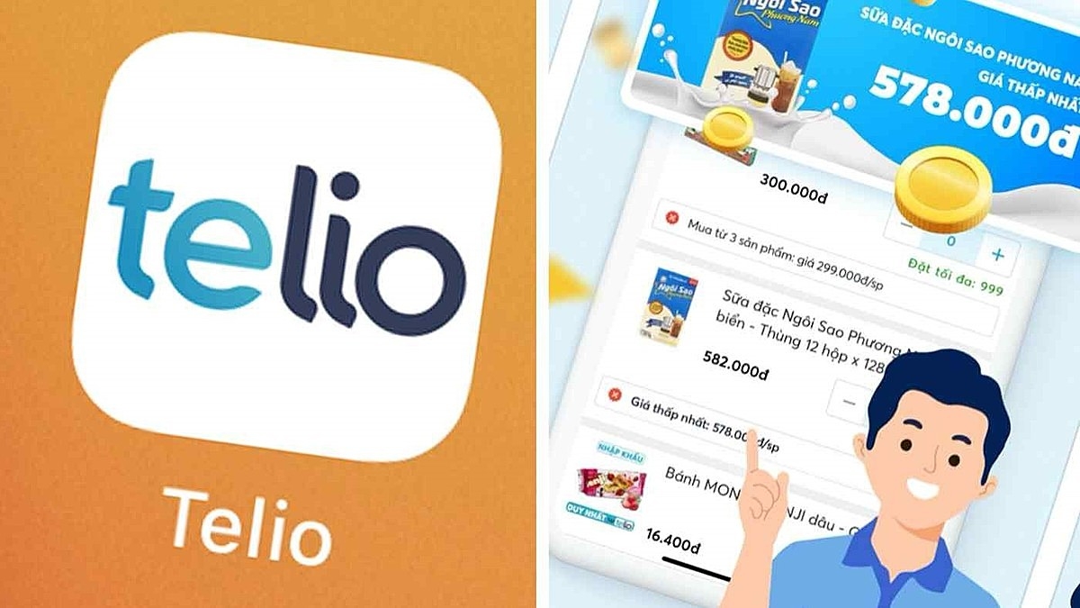 Telio là một phần của ngành thương mại điện tử B2B tương đối mới của Việt Nam, được các nhà phân tích đánh giá là hấp dẫn đối với các nhà đầu tư vì Việt Nam là một trung tâm sản xuất lớn. (Ảnh chụp màn hình từ trang web Telio)