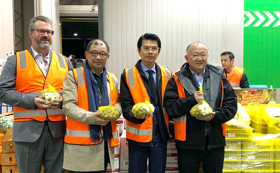 Việc tham gia nhiều FTA được xem là cơ hội lớn để đẩy mạnh xuất khẩu và xây dựng thương hiệu.