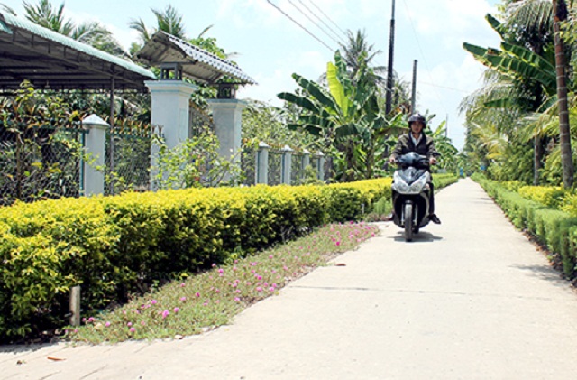 Các HTX tiếp tục phát huy vai trò cầu nối trong xây dựng NTM.