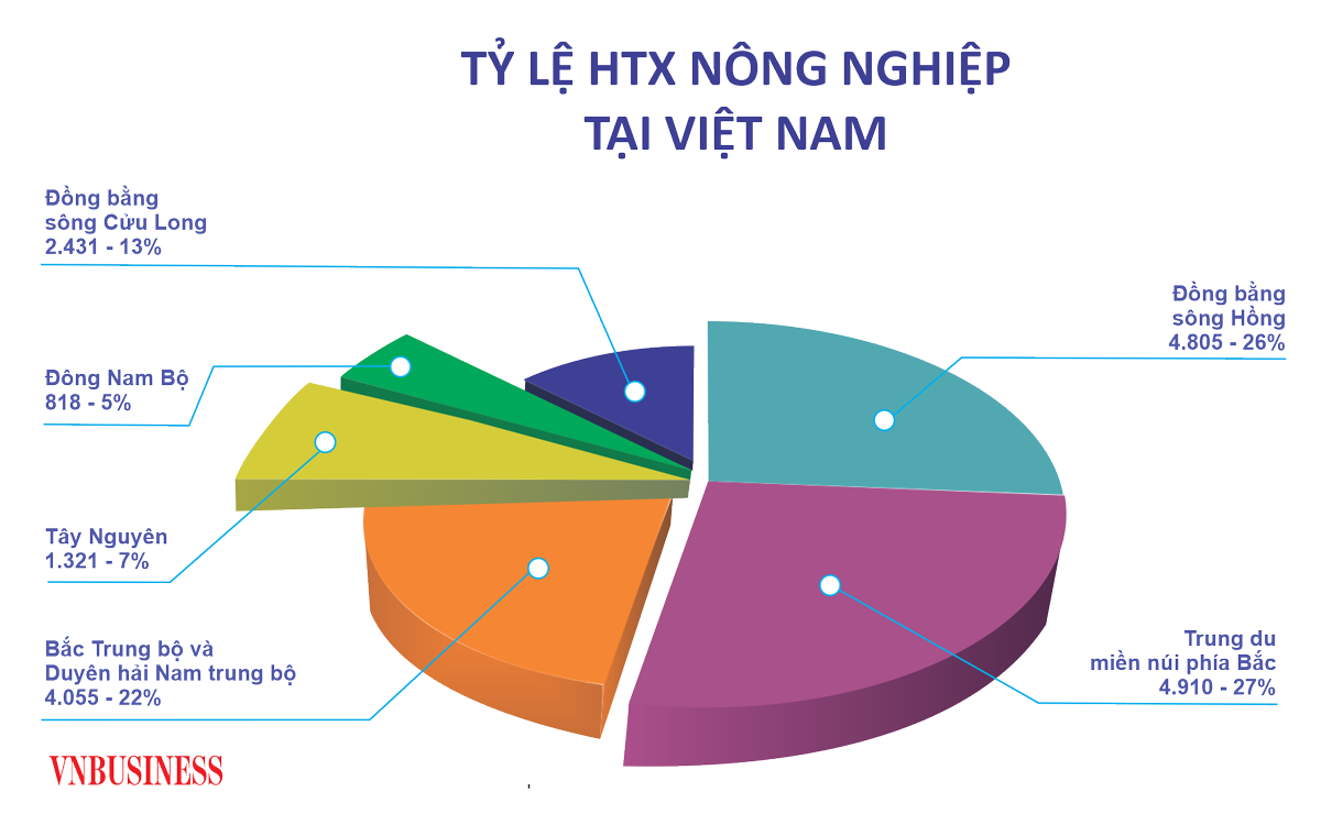 Tỷ lệ HTX nông nghiệp phân bố không đồng đều giữa các vùng miền nên cần có chiến lược phát triển phù hợp, rõ ràng mới có thể đạt được mục tiêu có 45.000 HTX vào năm 2030.