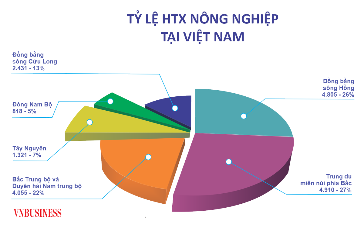 Tỷ lệ HTX nông nghiệp phân bố không đồng đều giữa các vùng miền nên cần có chiến lược phát triển phù hợp, rõ ràng mới có thể đạt được mục tiêu có 45.000 HTX vào năm 2030.