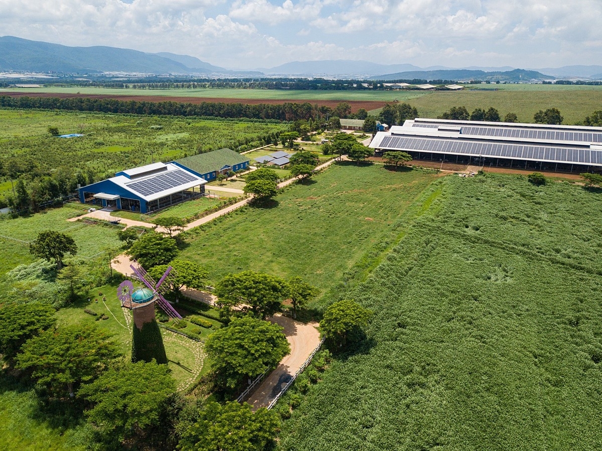 Năng lượng mặt trời đã được đưa vào sử dụng tại Trang trại bò sữa Organic Đà Lạt từ năm 2017 đến nay.