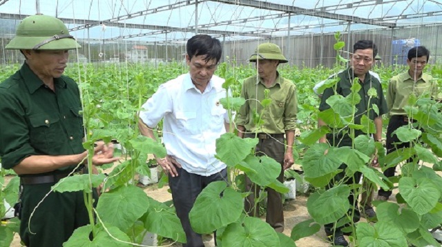 Các CCB đang tiên phong trên mặt trận xóa đói giảm nghèo, cùng nhau phát triển kinh tế.
