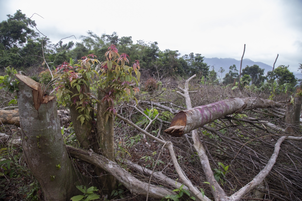 Đó là lần thứ ba trong tuần, khu nội trú đón thêm một người bị trói tay chân, vùng vẫy trên chiếc giường sắt.