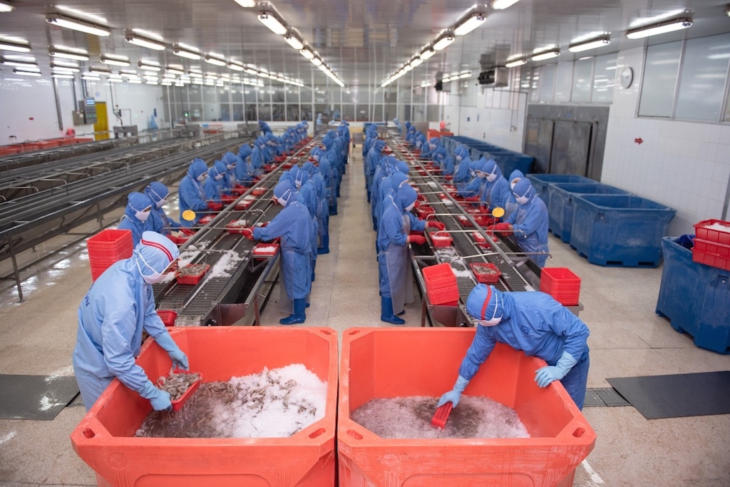 “Mảng tối” về dòng tiền của một số doanh nghiệp chế biến không làm ăn suôn sẻ trong thời gian qua rất cần được lưu tâm và gỡ khó.