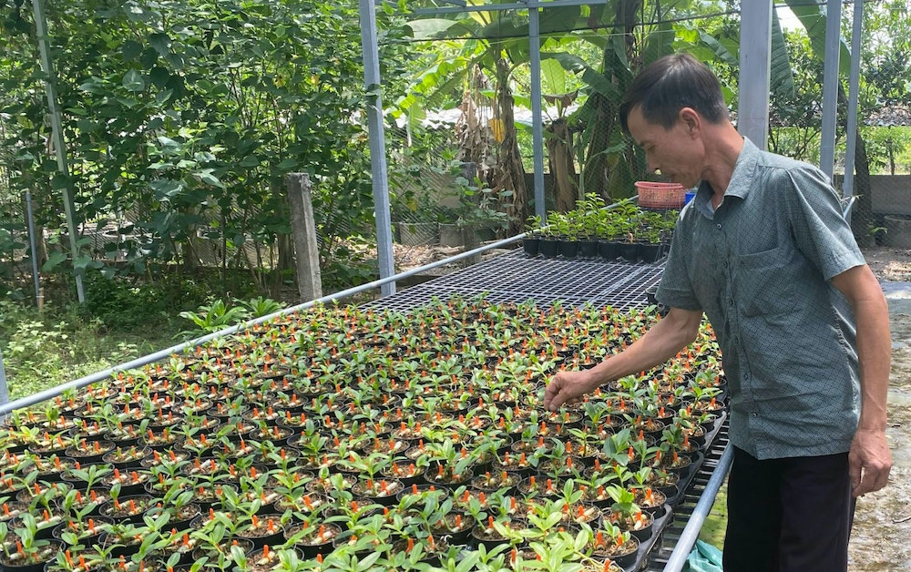 Quỹ hỗ trợ phát triển HTX tỉnh Bình Dương trở thành kênh hỗ trợ hiệu quả cho các HTX đẩy mạnh sản xuất kinh doanh, giải tỏa “cơn khát vốn” để phát triển mạnh, bền vững hơn