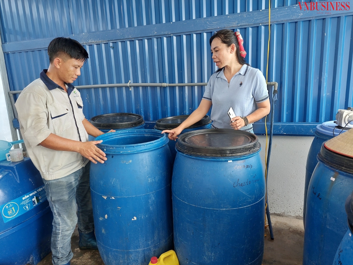 Chị Hà kiểm tra khu vực nhân giống vi sinh.