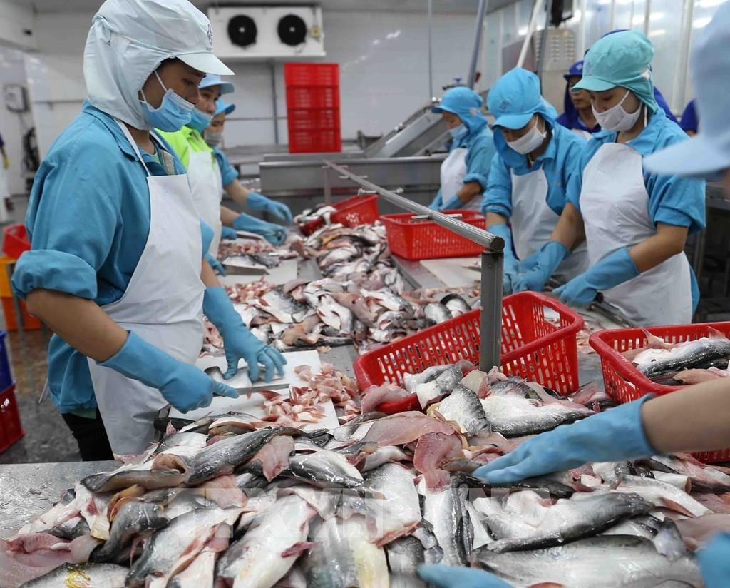 Trung Quốc vẫn tiếp tục duy trì chính sách Zero COVID, kiểm soát nghiêm ngặt virus SARS-CoV-2.