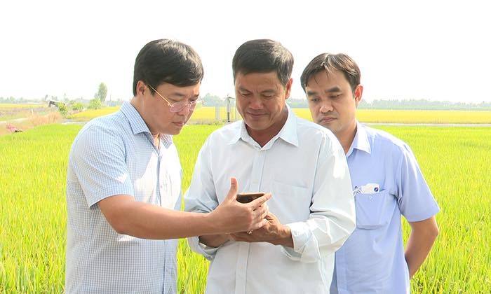 Việc HTX quản lý chất lượng cây trồng bằng phương pháp hiện đại giúp tạo lòng tin cho đối tác.