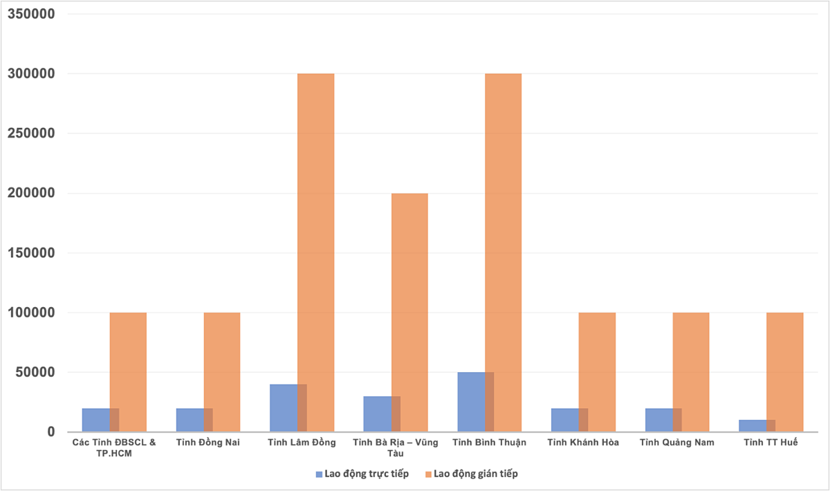 Số lượng lao động NovaGroup sử dụng tại các địa phương ước tính đến năm 2025.