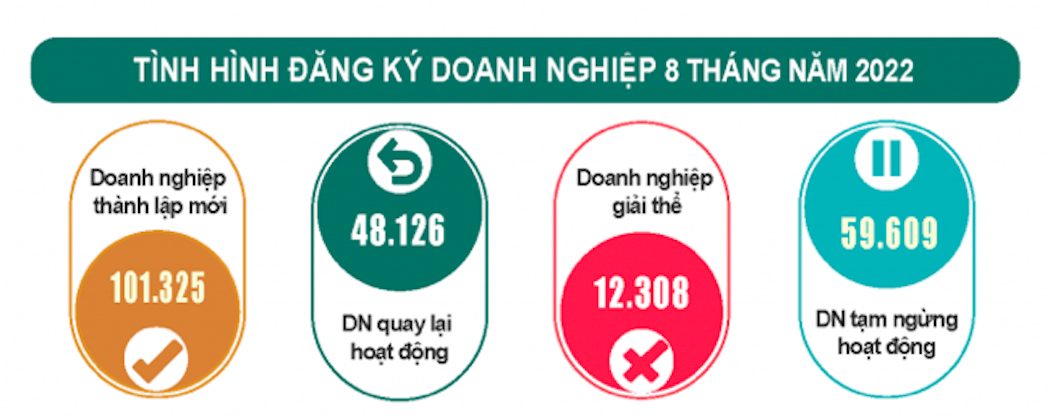 8 tháng đầu năm có 101.325 doanh nghiệp thành lập mới.