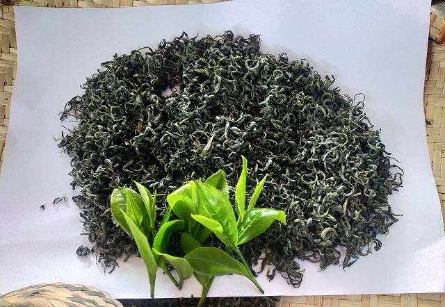 Nhiều HTX đã dần chuyển hướng sản xuất chè VietGap – hướng hữu cơ, nâng cao cuộc sống, giúp xóa đói, giảm nghèo.