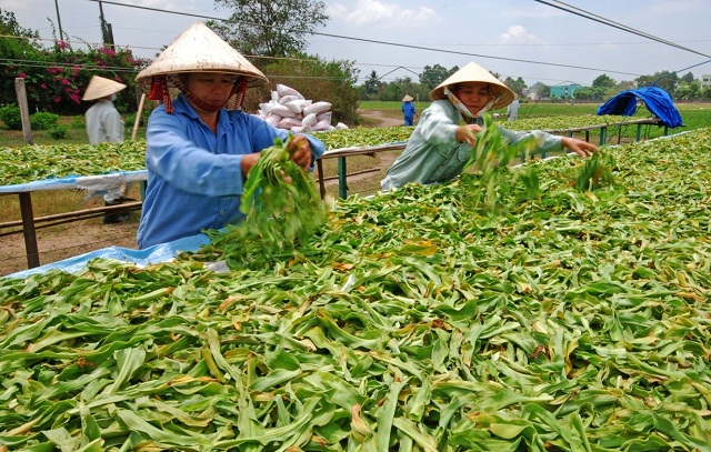 Những sản phẩm của các HTX ngày càng được đông đảo người tiêu dùng tin tưởng, từ đó thực hiện tốt mục tiêu giảm nghèo bền vững.