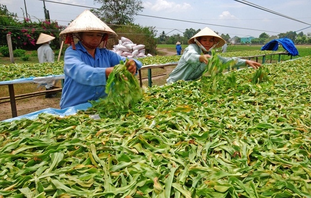 Những sản phẩm của các HTX ngày càng được đông đảo người tiêu dùng tin tưởng, từ đó thực hiện tốt mục tiêu giảm nghèo bền vững.