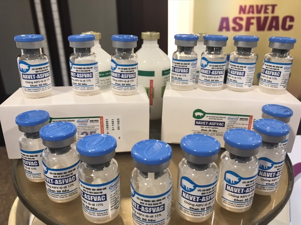 Vắc xin dịch tả lợn châu phi do Navetco sản xuất.