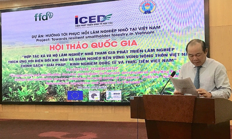 Chủ tịch LIên minh HTX Việt Nam cho biết các HTX, THT lâm nghiệp đang góp phần thúc đẩy ngành lâm nghiệp thích ứng với biến đổi khí hậu.