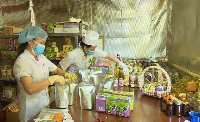 HTX Tân Thành sản xuất theo hướng chuỗi nâng cao chất lượng sản phẩm nên cần nhiều nguồn vốn lưu động.