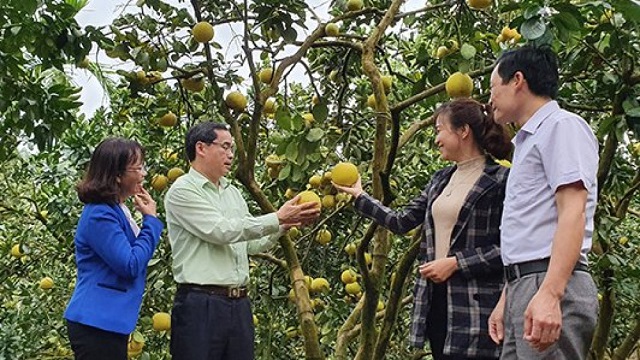 Nhiều hộ thành viên khi tham gia HTX, cuộc sống và thu nhập của gia đình đã được nâng lên.