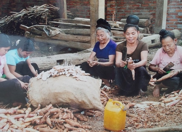 Nhiều mô hình HTX đã hỗ trợ phát triển sản xuất, hỗ trợ sinh kế nhằm nâng cao thu nhập cho người dân.