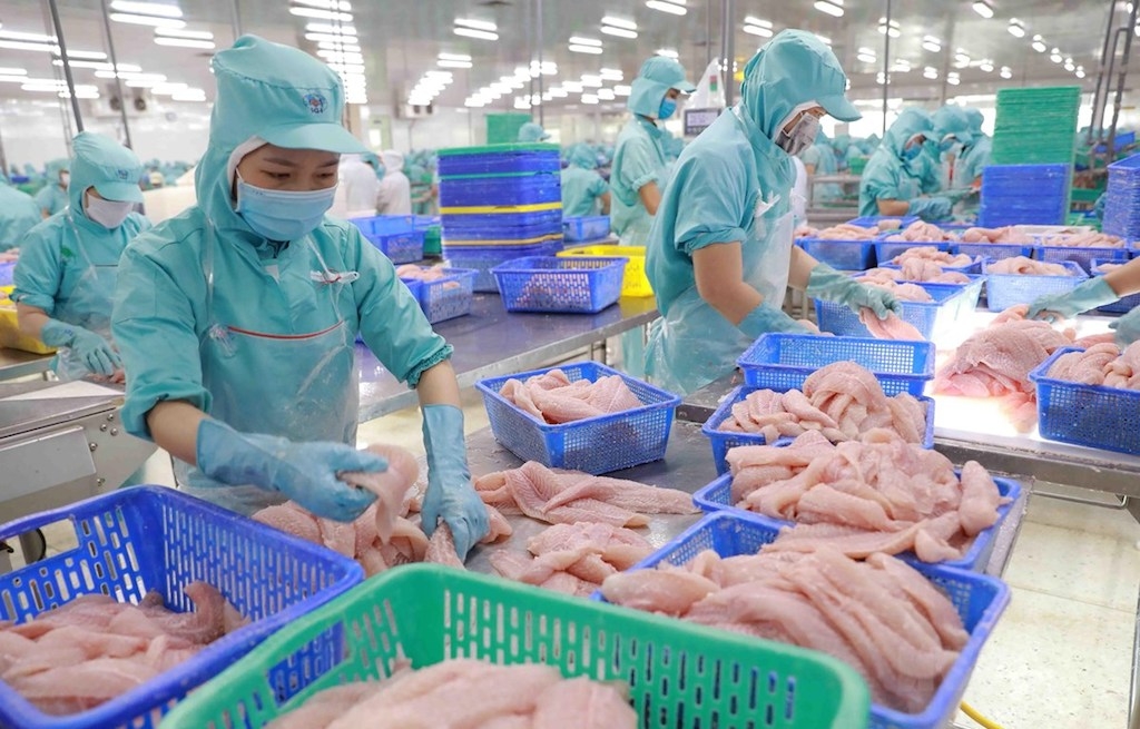 Trong quý 3/2022, các DN xuất khẩu cá tra tiếp tục duy trì phong độ, nhờ tận dụng tốt cơ hội từ các thị trường lớn nên doanh thu giữ mức tăng đột biến.