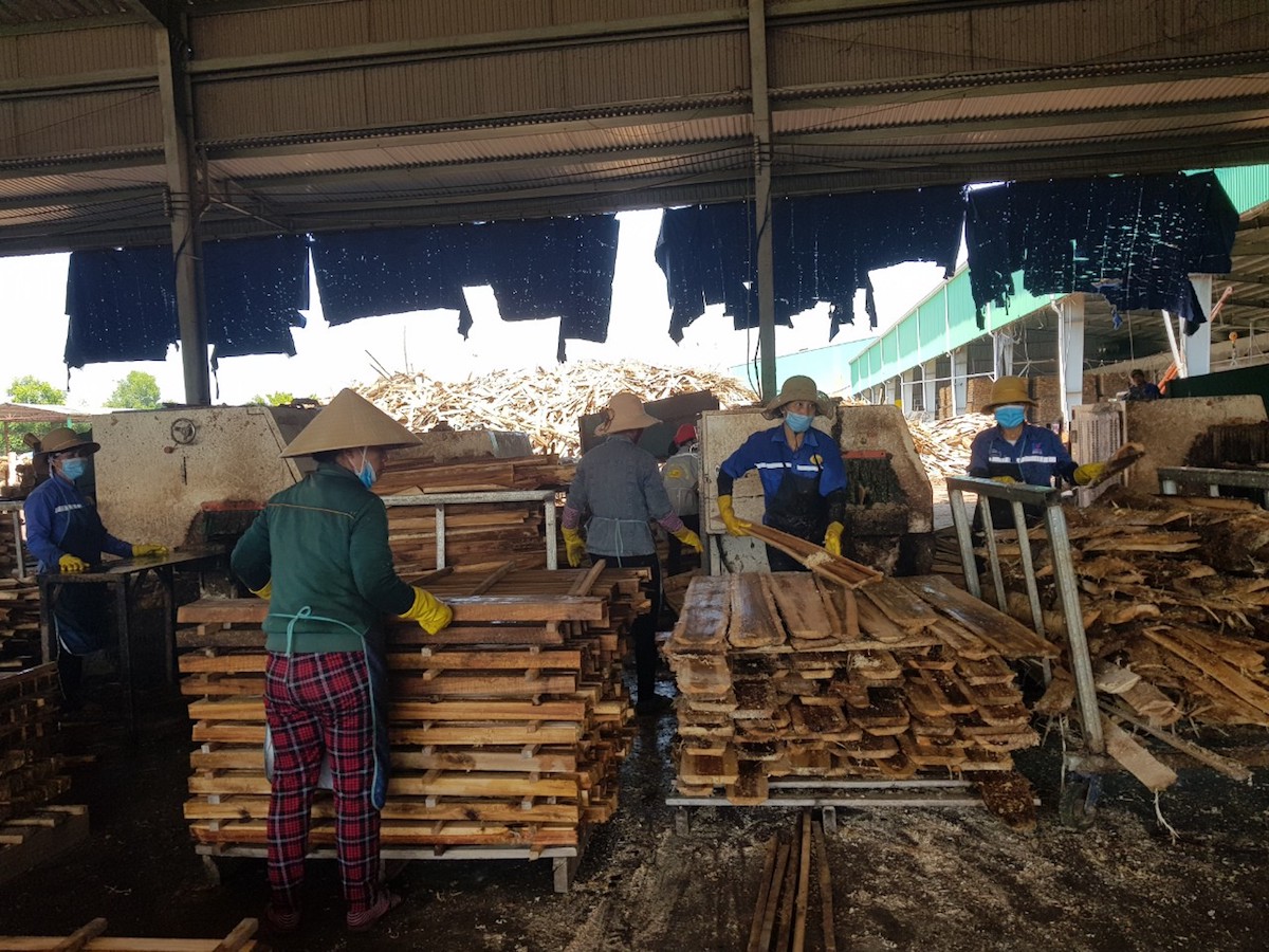 Doanh nghiệp có các sản phẩm gỗ xuất khẩu có sử dụng gỗ rừng trồng đang gặp phải khó khăn trong việc hoàn thuế giá trị gia tăng.