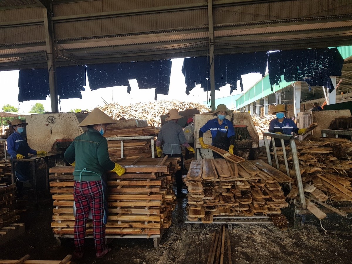 Doanh nghiệp có các sản phẩm gỗ xuất khẩu có sử dụng gỗ rừng trồng đang gặp phải khó khăn trong việc hoàn thuế giá trị gia tăng.