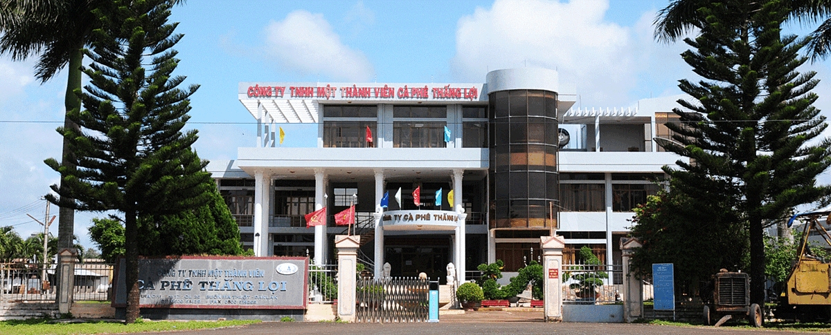 Ghi nhận chuỗi tăng trần 23 phiên liên tiếp, cổ phiếu CFV đang dừng ở mức 91.300 đồng/cp. (Ảnh: Int)