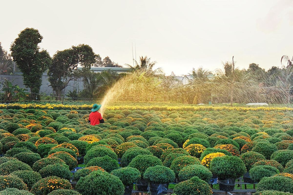 Tên Luật hợp tác xã gắn với lịch sử phát triển của khu vực kinh tế tập thể và ăn sâu vào tiềm thức của người dân.