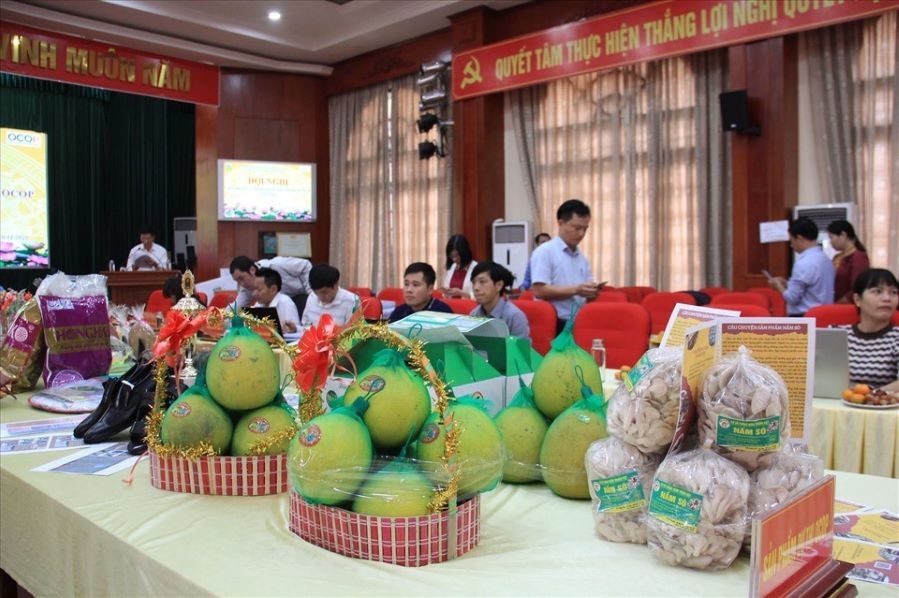 Trong năm 2022, Hà Nội hoàn thành việc tổ chức đánh giá, phân hạng thêm ít nhất 400 sản phẩm OCOP (Ảnh: Int)