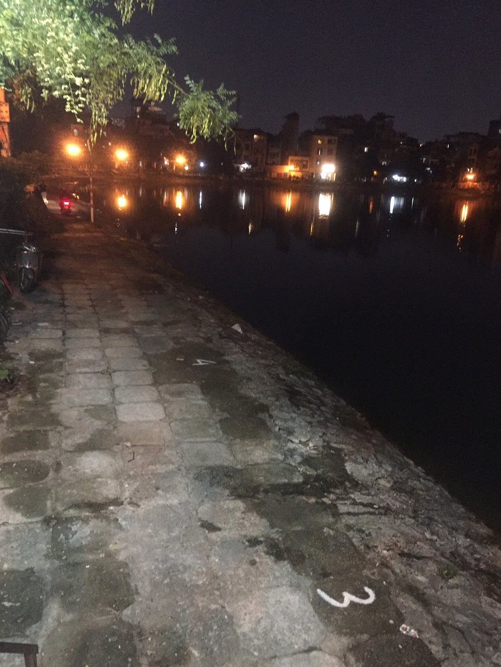 Khi các cơ quan chức năng có mặt, những người câu cá trái phép đã dừng câu.