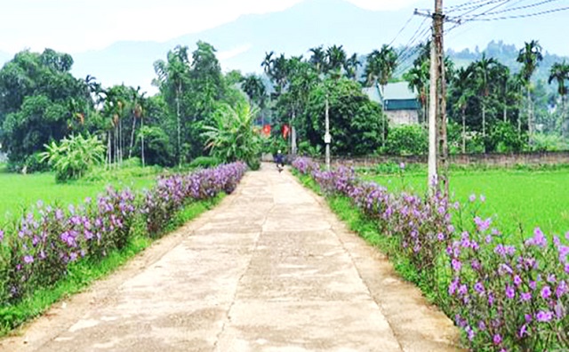 Thực hiện Chương trình MTQG xây dựng NTM, đã tạo ra bộ mặt nông thôn khang trang, đời sống vật chất, tinh thần được nâng lên.