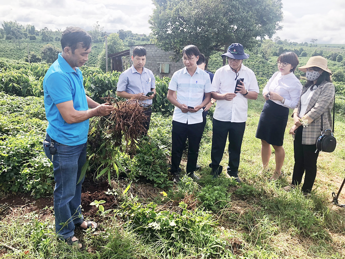 Đẩy mạnh các chương trình hỗ trợ đào tạo nguồn nhân lực cho khu vực kinh tế tập thể.