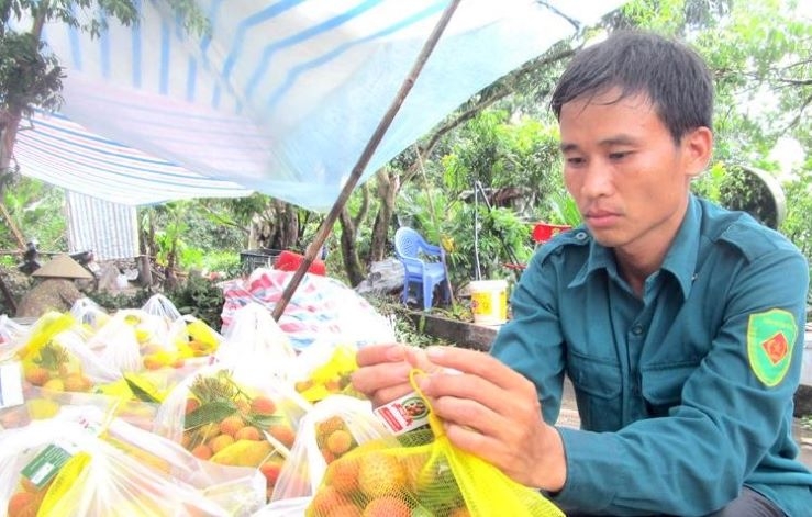 Sản phẩm đạt chuẩn VietGAP và được gắn sao OCOP rộng đường vào các kênh phân phối với giá bán cao (Ảnh: TL)