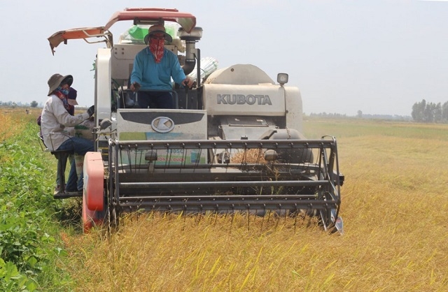 HTX đóng vai trò quan trọng trong tiêu chí số 13 về xây dựng NTM.