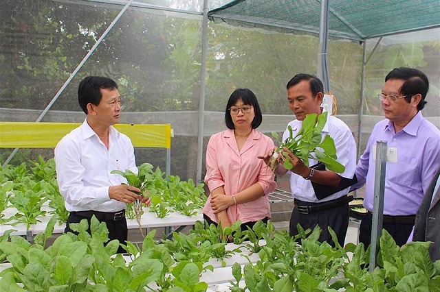 Các mô hình HTX giúp thay đổi tập quán, cách làm manh mún, nhỏ lẻ của người dân.