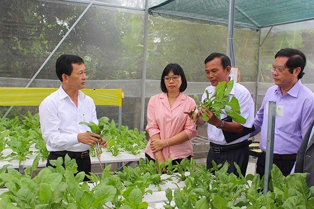 Các mô hình HTX giúp thay đổi tập quán, cách làm manh mún, nhỏ lẻ của người dân.