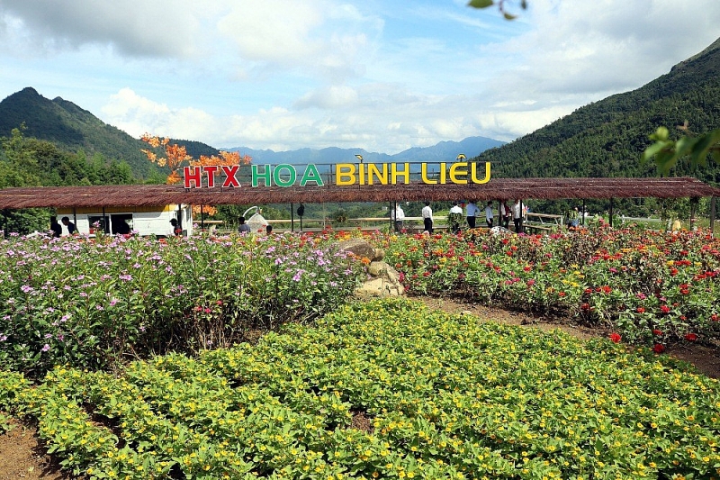 HTX Hoa Bình Liêu tại huyện Bình Liêu, Quảng Ninh.