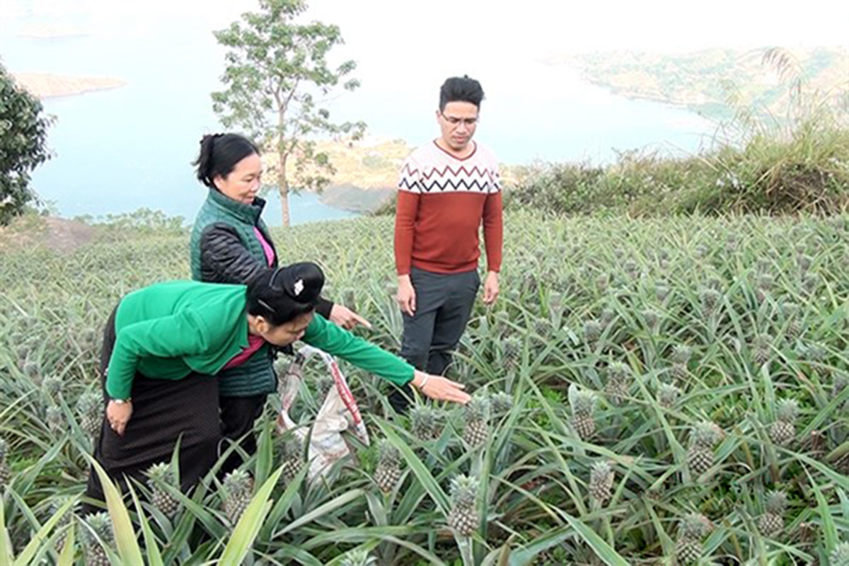 Có kỹ năng nghề tốt, nông dân tự tin làm giàu trên chính mảnh đất quê hương (Ảnh: BSL)