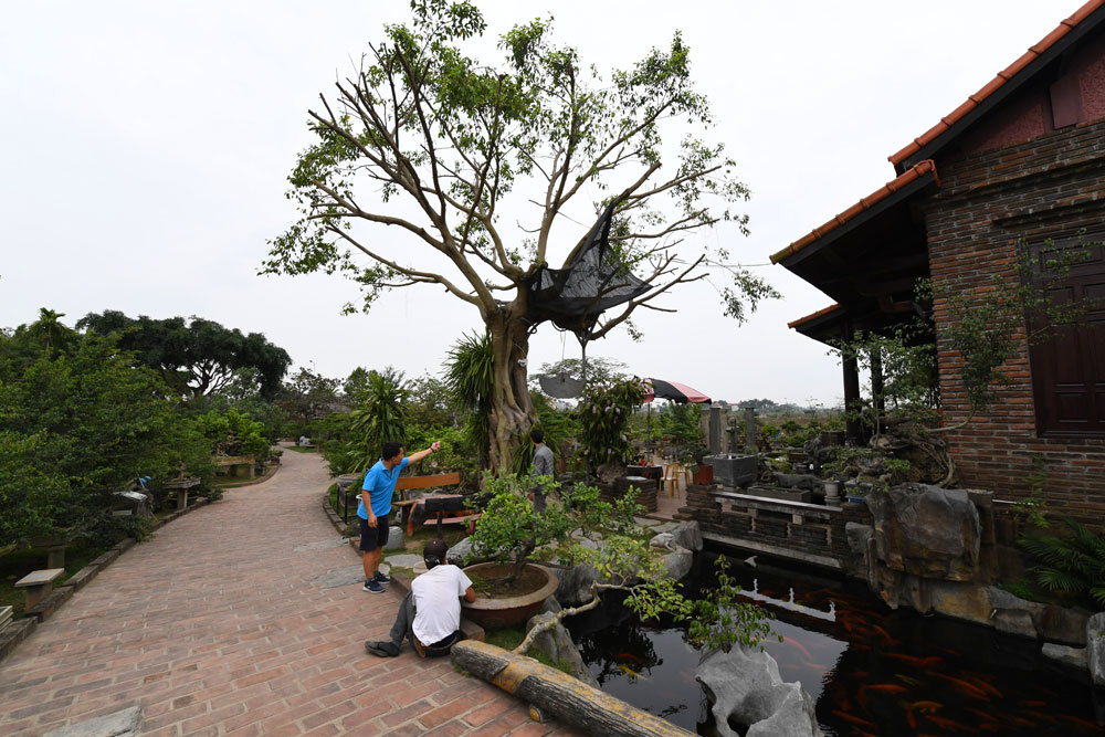 HTX Hồng Vân phát triển mô hình làng du lịch sinh thái.