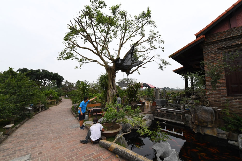 HTX Hồng Vân phát triển mô hình làng du lịch sinh thái.