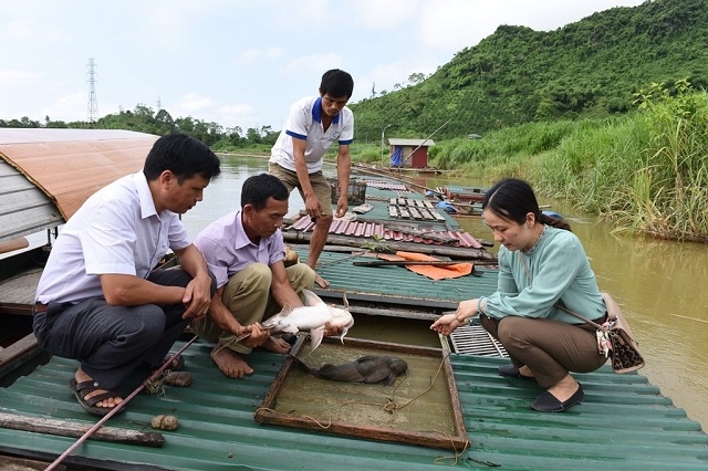 Nhiều HTX đã và đang hoạt động hiệu quả ở nhiều lĩnh vực, giải quyết việc làm, tăng thu nhập cho thành viên và nhân dân ở địa phương