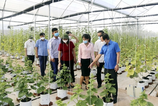 Phát triển HTX nhằm phát huy nội lực của người dân trong quá trình xây dựng NTM.