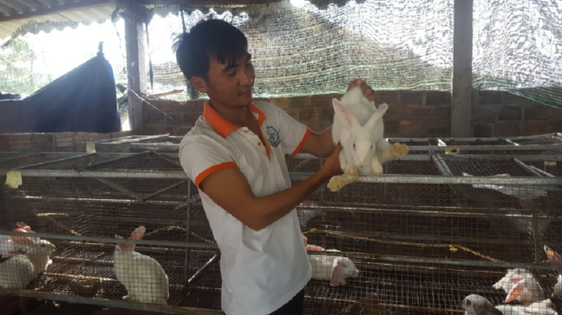 Trại nuôi thỏ của anh Phạm Hùng Cường – Giám đốc HTX Chăn nuôi thỏ Quảng Ngãi.