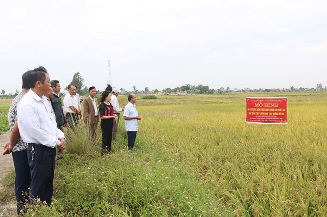 Tham gia mô hình HTX nhằm thúc đẩy liên kết sản xuất, nâng cao giá trị sản phẩm, tăng thu nhập cho người dân.