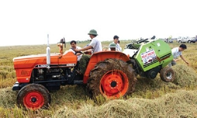 Nhân rộng các mô hình HTX gắn với chuỗi giá trị, tạo động lực cho quá trình xây dựng NTM.