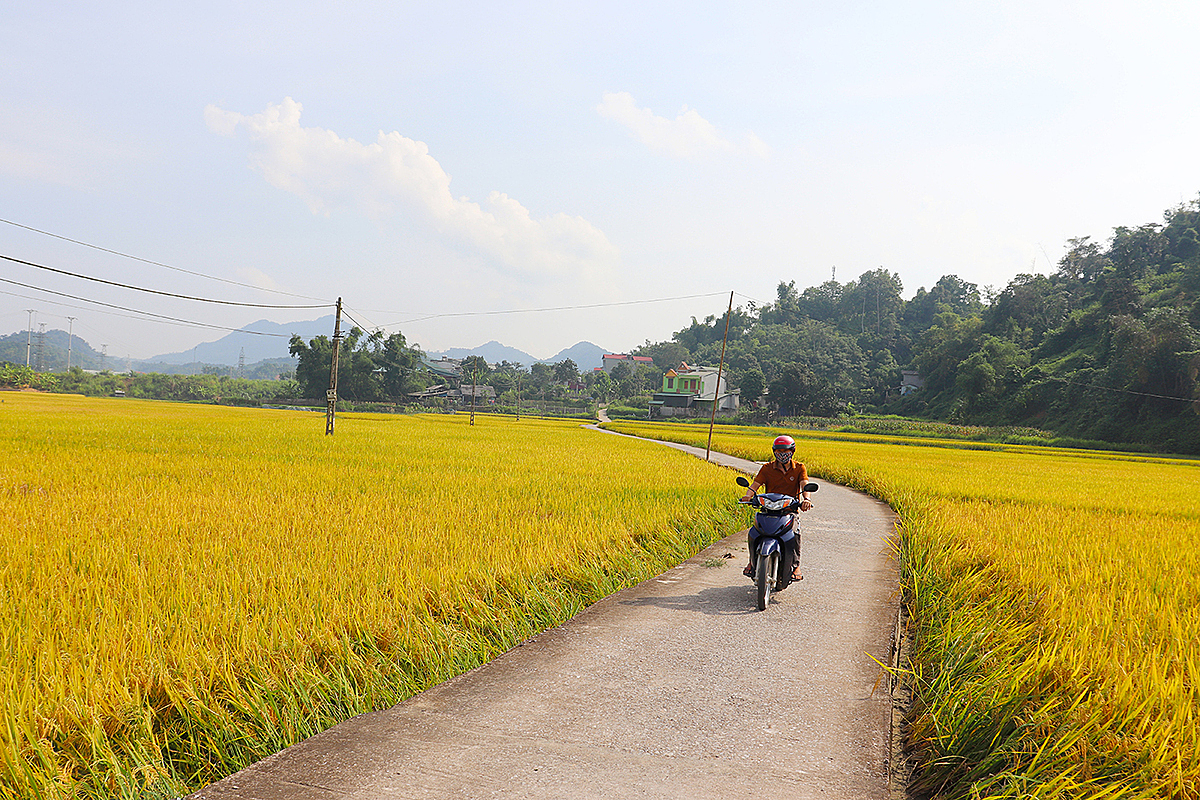 Qua hơn 10 năm triển khai thực hiện Chương trình MTQG xây dựng nông thôn mới, diện mạo nông thôn thành phố Bắc Kạn có nhiều đổi thay vượt bậc.100% đường xã, liên xã, đường trục chính nội đồng trên địa bàn thành phố đã được cứng hóa.