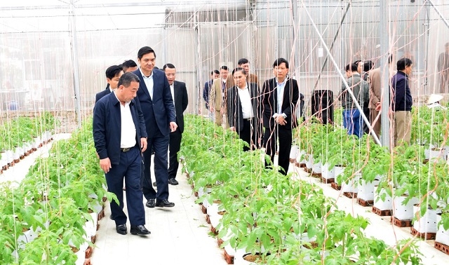 Các HTX đóng vai trò vô cùng quan trọng trong phong trào NTM tỉnh Nghệ An.