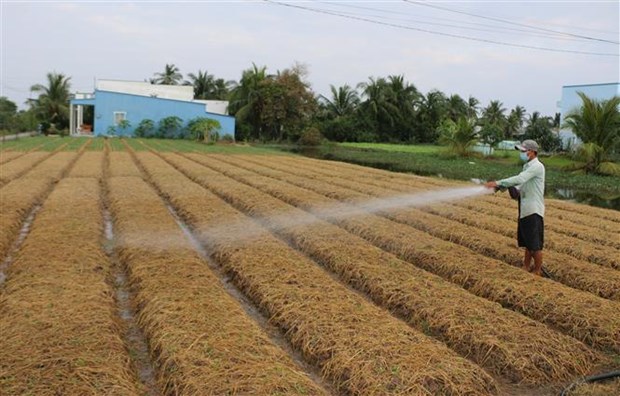 Với việc phát triển và nhân rộng các mô hình KTHT và HTX đã giúp TP. Bạc Liêu đạt tiêu chí số 13 về tổ chức sản xuất trong xây dựng NTM.